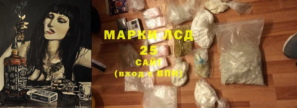 PSILOCYBIN Волосово