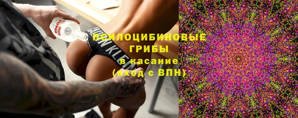 Альфа ПВП Осташков