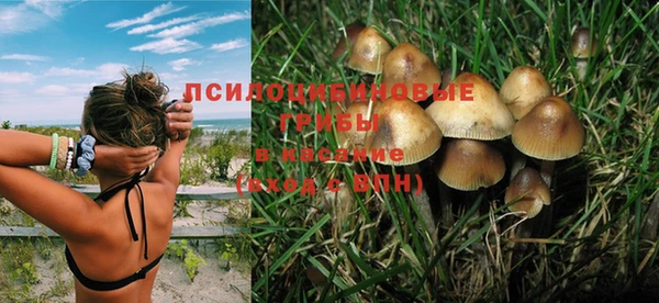Альфа ПВП Осташков