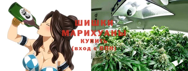spice Няндома