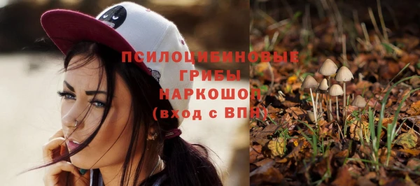 mdpv Нязепетровск