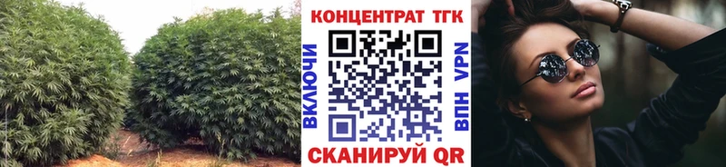 даркнет сайт  Нижний Тагил  Дистиллят ТГК THC oil 