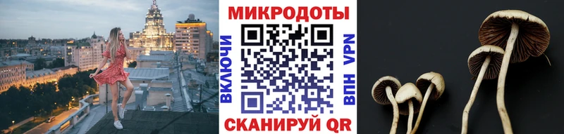 OMG как зайти  Нижний Тагил  Галлюциногенные грибы прущие грибы  купить  сайты 