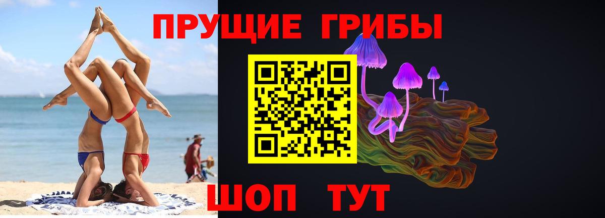 Псилоцибиновые грибы мицелий Нижний Тагил